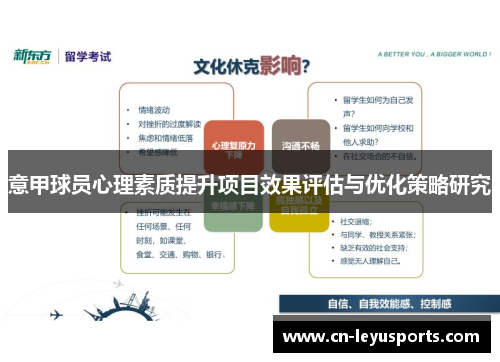 意甲球员心理素质提升项目效果评估与优化策略研究