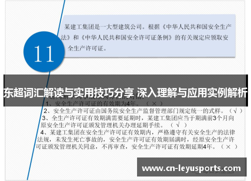 东超词汇解读与实用技巧分享 深入理解与应用实例解析 东超词汇解读与实用技巧分享 深入理解与应用实例解析